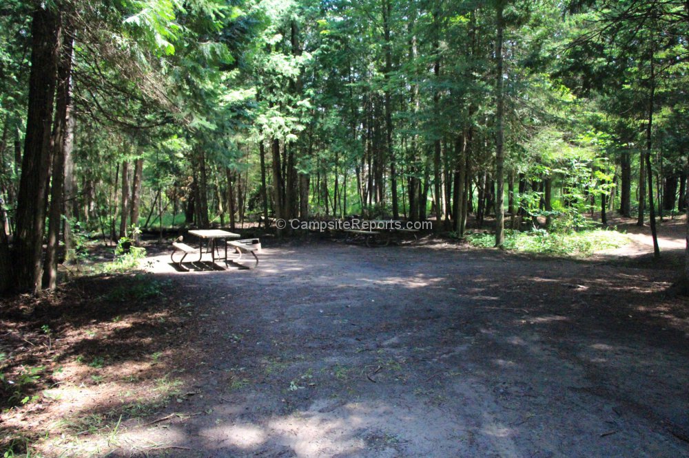 Campsite 239 in Hawthorn Valley Campground Area at Balsam Lake