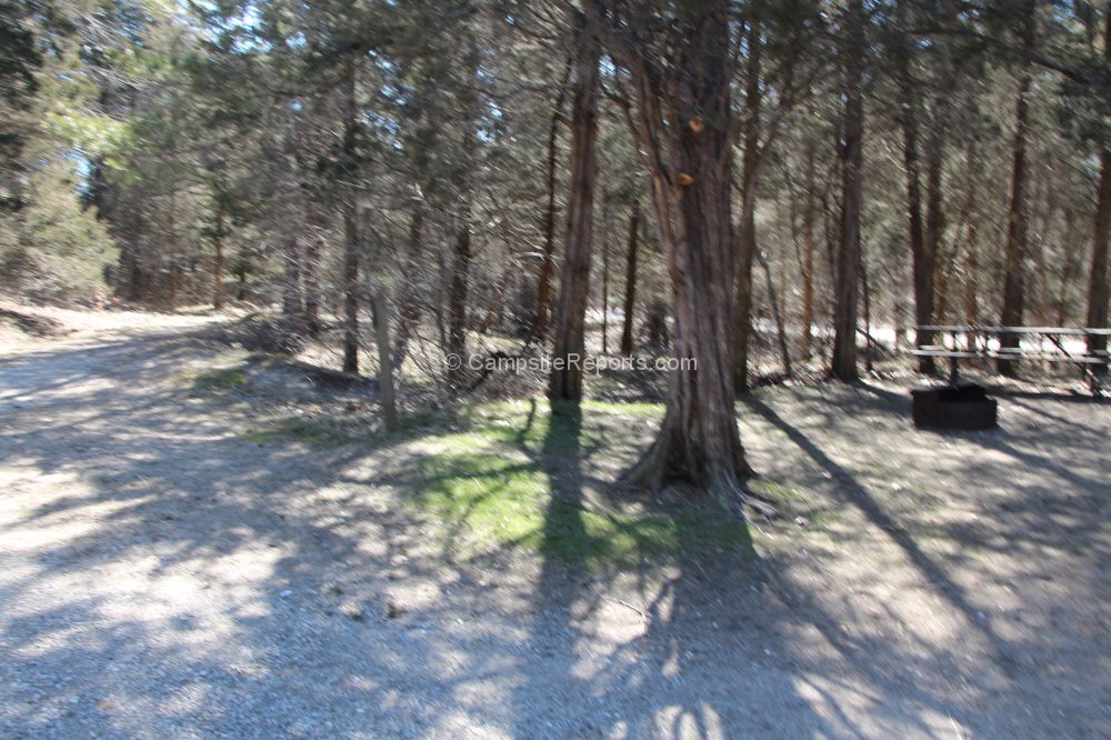 Photo Of Campsite 175 In Campground Area Dunes At The Pinery Provincial Park Ontario Canada