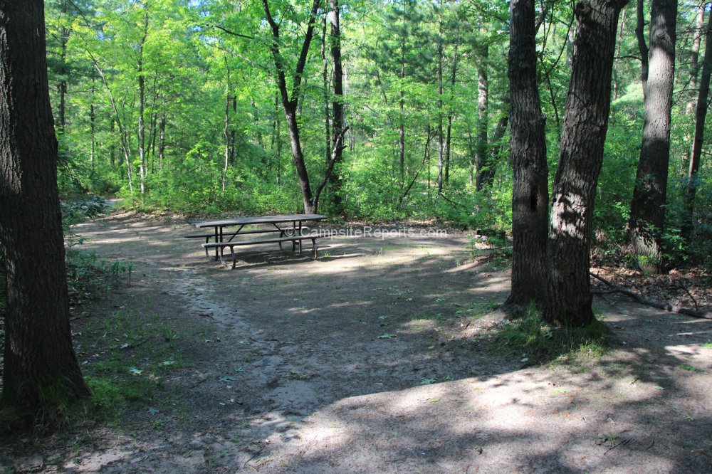 Campsite 682 In Riverside Campground Area At The Pinery Provincial Park   The Pinery Provincial Park Campsite 682 SID70002 