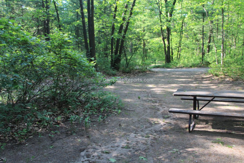 Campsite 682 In Riverside Campground Area At The Pinery Provincial Park   The Pinery Provincial Park Campsite 682 SID70004 