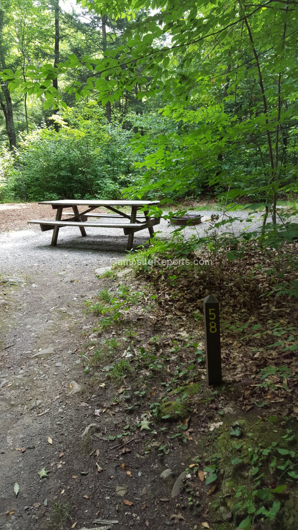 Photo Of Campsite 58 In Campground Area Main At Worlds End State Park Pennsylvania United States